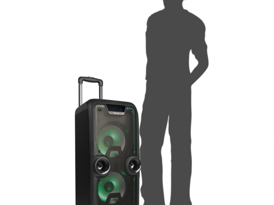 image deNGS premium Speaker WildRock